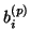 $b_i^{(p)}$